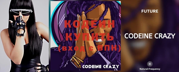 круглые Гусев