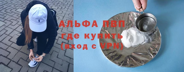 круглые Гусев