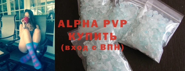 круглые Гусев