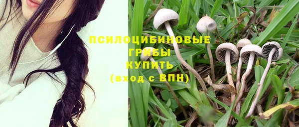 круглые Гусев