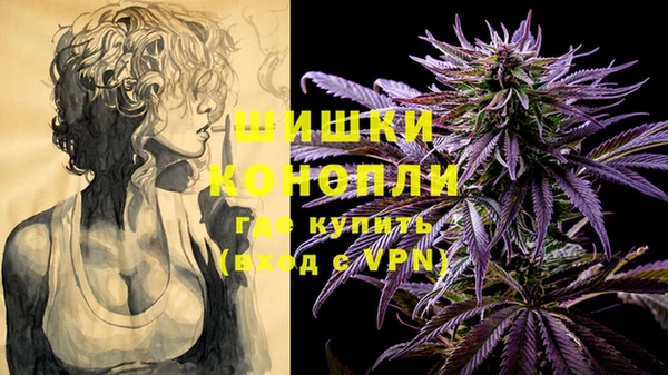 круглые Гусев
