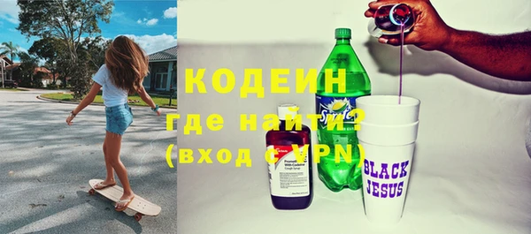 круглые Гусев