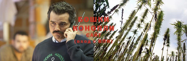 круглые Гусев