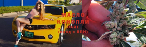 круглые Гусев