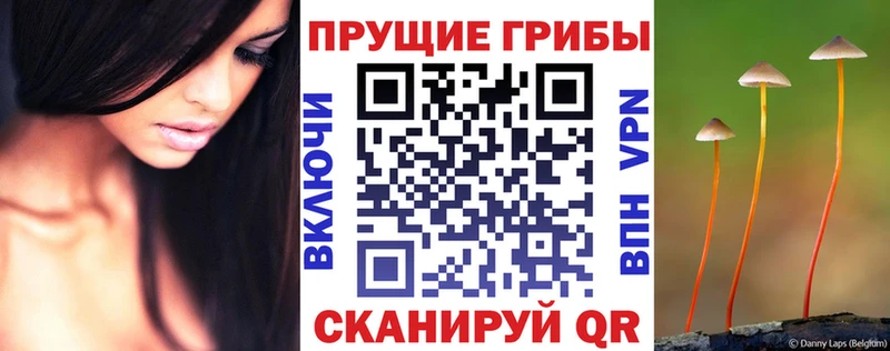 маркетплейс состав  Островной  Галлюциногенные грибы GOLDEN TEACHER 